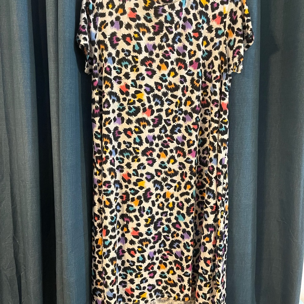 Leopard Print Dress with Multicolor Accents